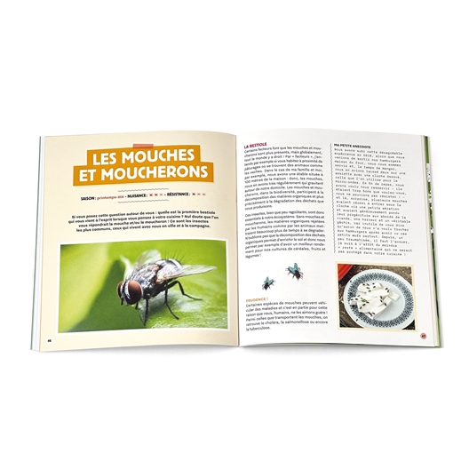 Stratégie anti-bestioles à la maison