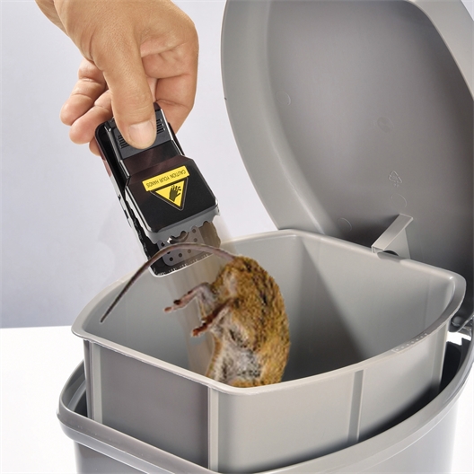 Lot de 4 attrapes souris