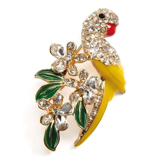 Broche perroquet