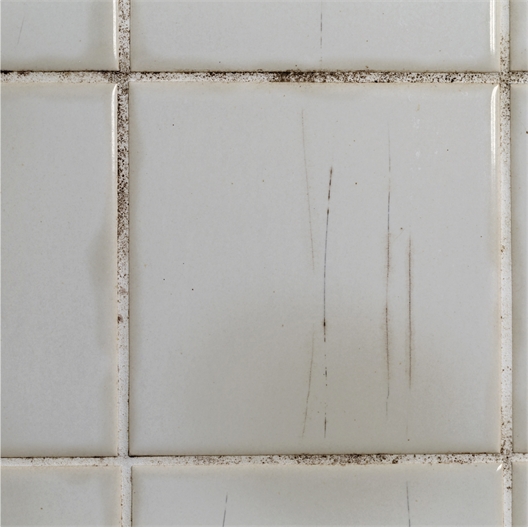 Crème récurrente terra récur