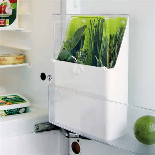 Boîte conservation fines herbes