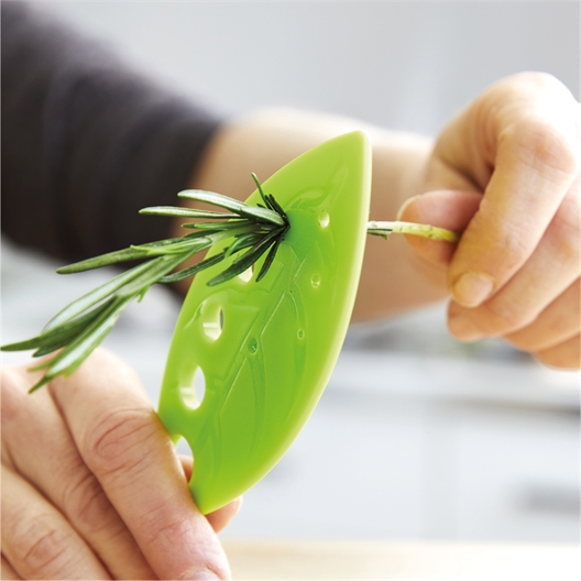 Boîte conservation fines herbes