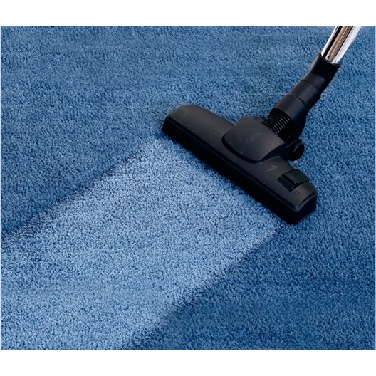 Lot de 2 nettoyants tapis 500 ml