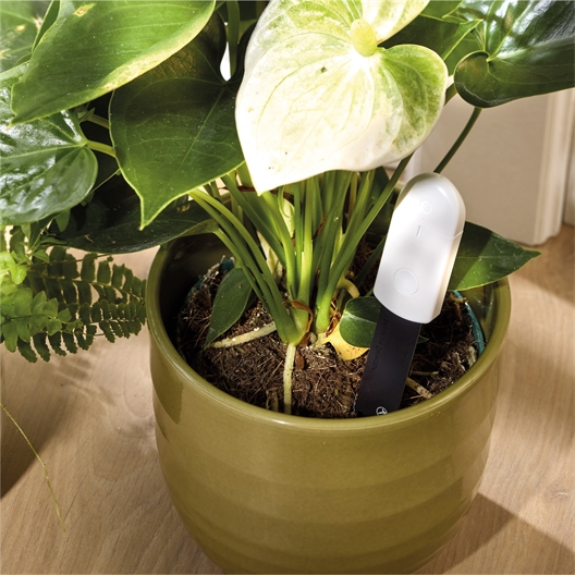 Détecteur humidité