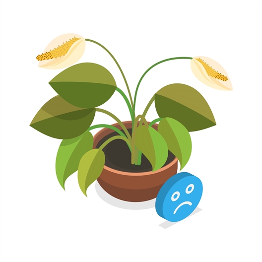 Détecteur humidité