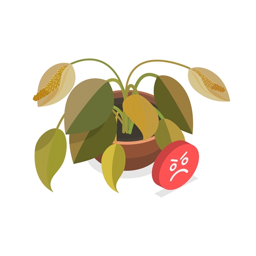 Détecteur humidité