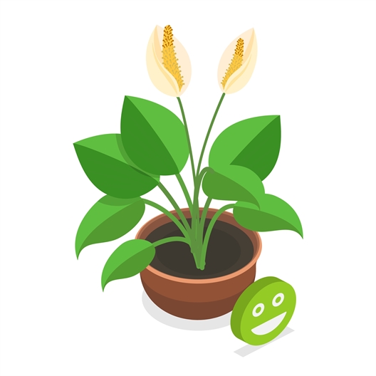 Détecteur humidité