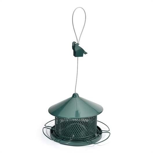 Graines pour oiseaux (1 kg)