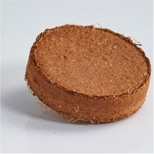 Kit trèfles à 4 feuilles