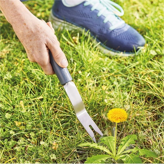 Désherbeur + manche télescopique