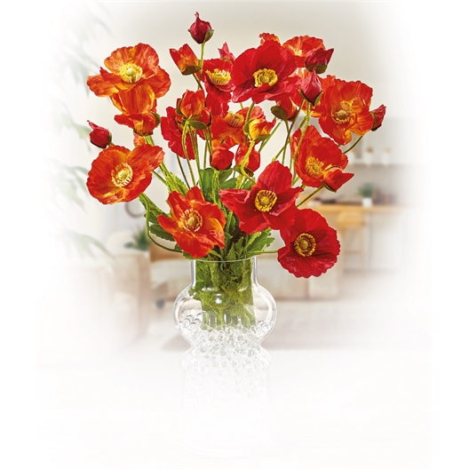 Bouquet de coquelicots sauvages