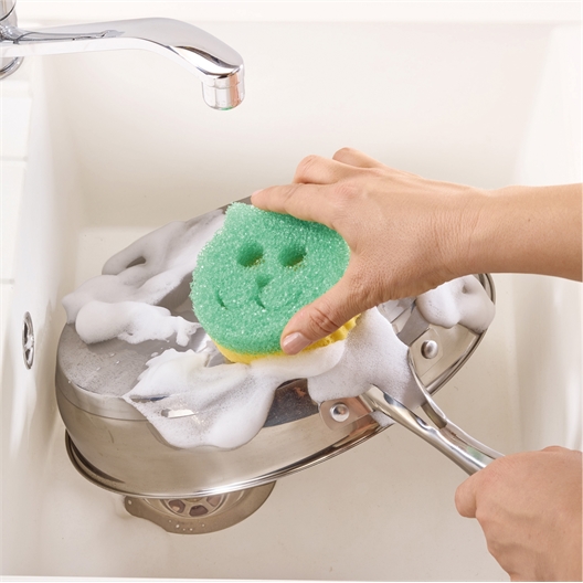 Lot de 2 éponges double face