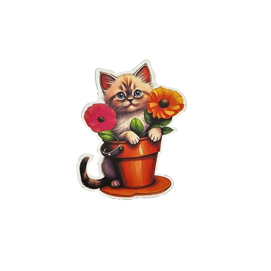 Lot de 6 magnets chat