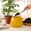 Set d'outils de jardin d'intérieur