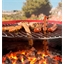 3 filets barbecue antiadhérents