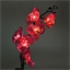 Orchidée lumineuse en pot