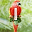 Thermometer/papegaai