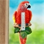 Thermomètre perroquet
