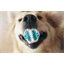 Denta fun ball mint flavour for dogs
