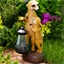 Meerkat with lantern