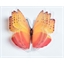 Schmetterlings-Sticker 3D