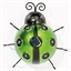 Coccinelle décorative : divers coloris
