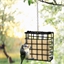 Distributeur métal + pain de graisse pour oiseaux
