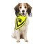 Bandana sécurité pour chien taille S/M