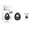 Anneau Flux ring