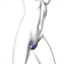 Stimulateur Wonderlove