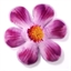 Sitzkissen Violette Blume