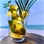 Guirlande ananas solaire