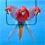 Suspension perroquet
