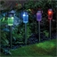 Lot de 10 lampes solaires Multicolores