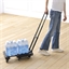Chariot pliable