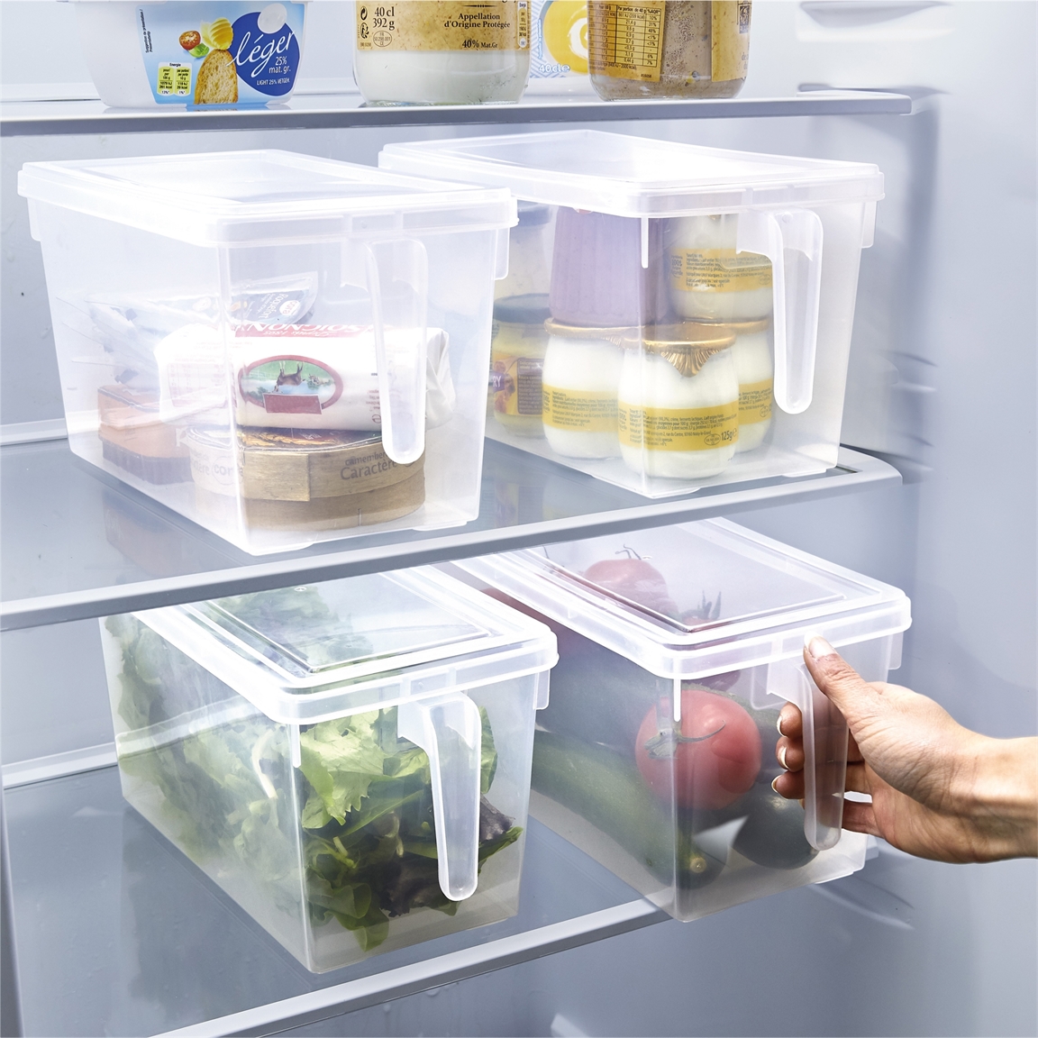 Rangement frigo-organisateur de Réfrigérateur-Boîte alimentaire casier  rangement