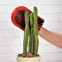 Kaktus-Handschuh