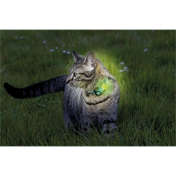 Pendentif lumineux pour animaux