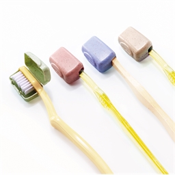 Lot de 4 protège brosses à dents