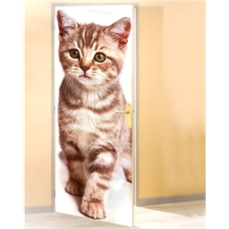 Poster de porte chat Chaton