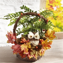 Panier d'automne chouette