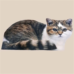 Cat shaped rug Gribouille