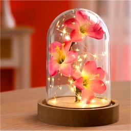 LED orchid dome
