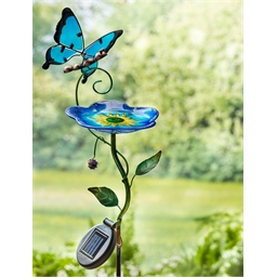 Baignoire à oiseaux papillon bleu
