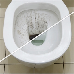 Lot de 4 nettoyants magnétiques toilette