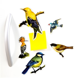 Magnets oiseaux