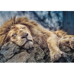 Puzzle 1000 pièces Lion endormi