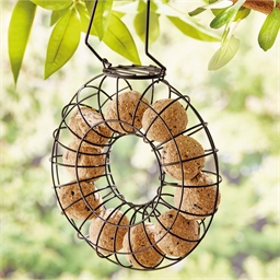 Distributeur de boules de graisse pour oiseaux