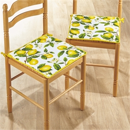 2 ou 4 galettes de chaise citrons