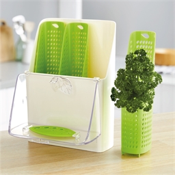 Boîte conservation fines herbes